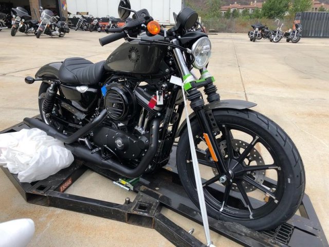 New 2019  Harley  Davidson  XL883N SPORTSTER IRON 883 in 